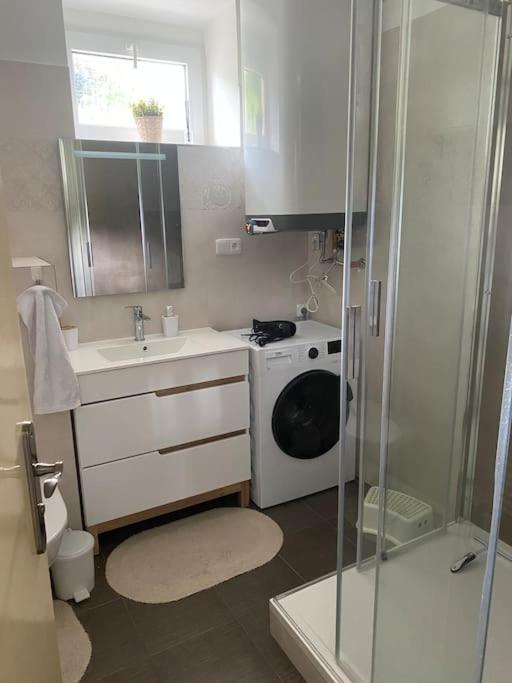 Horsky Apartman Desna - Jizerky Екстериор снимка